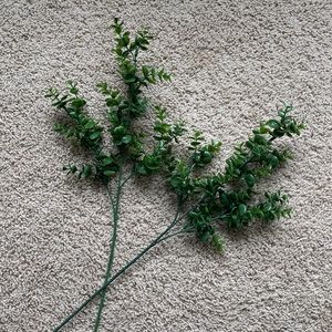 Hobby Lobby Greenery - 2